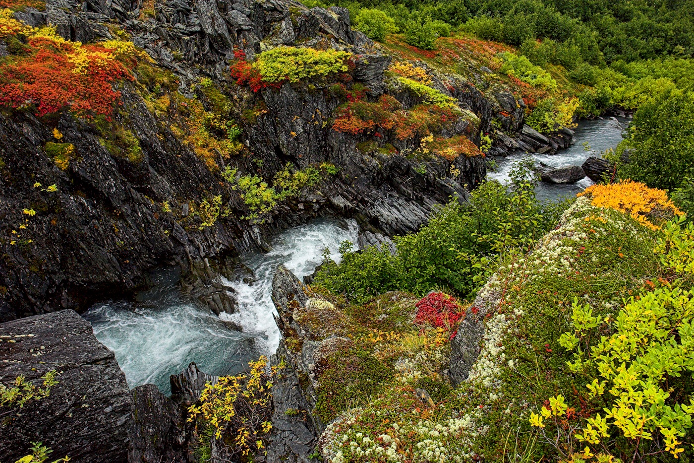 Meandering through Color