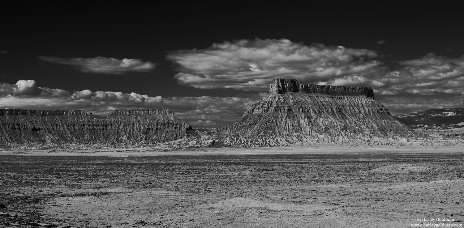 Rising From The Desert