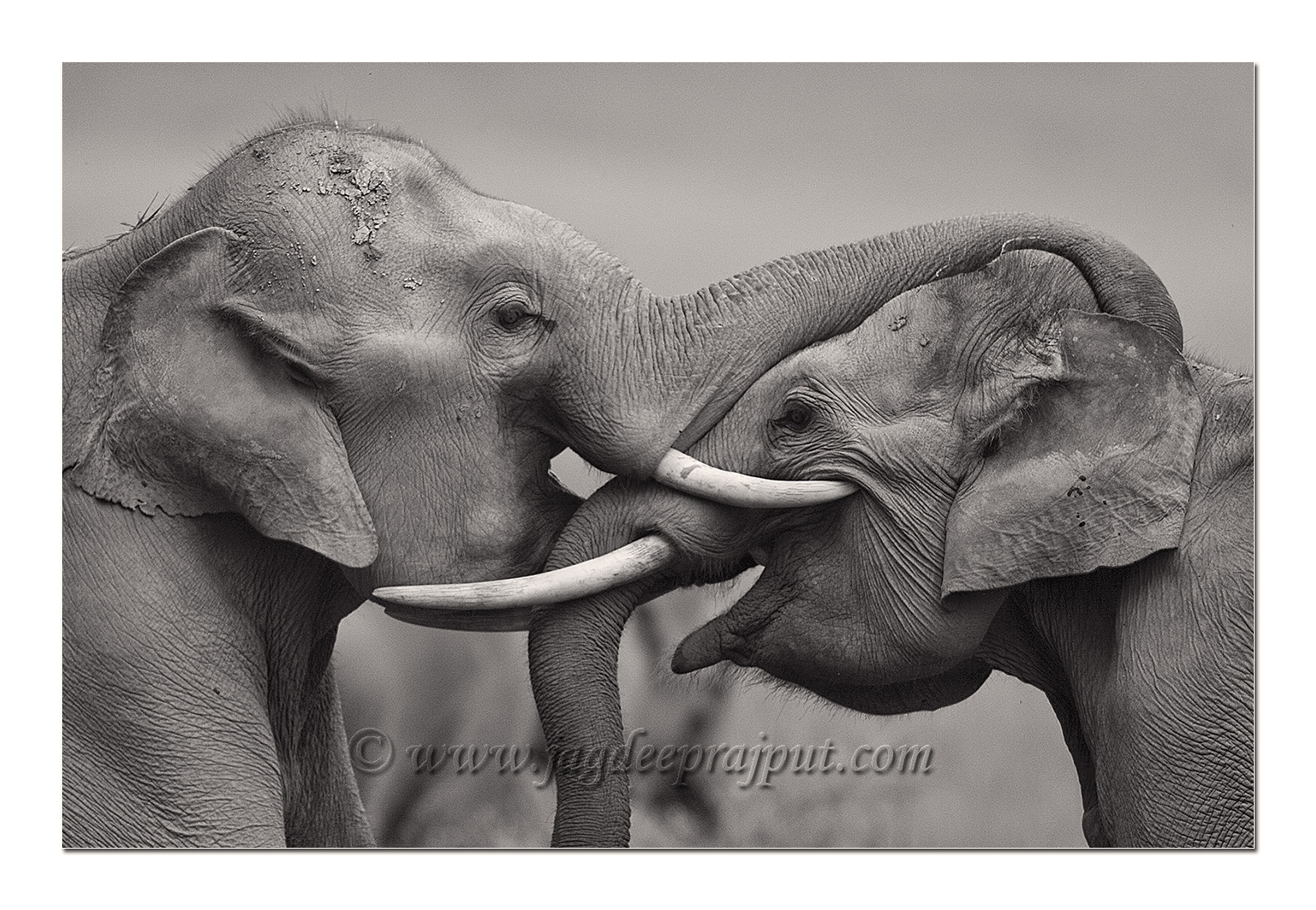 Face to face