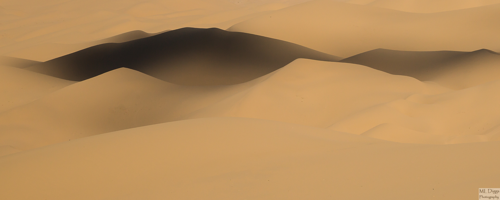 Repo of Algodones Dunescape #1