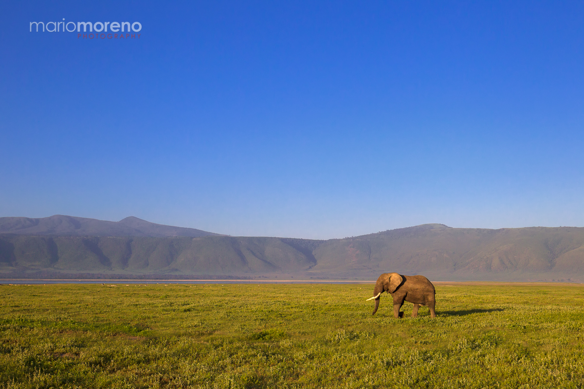 NGORONGORO