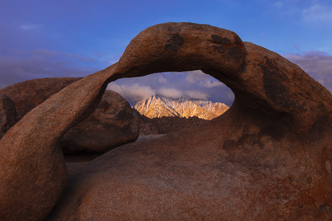 Arch View