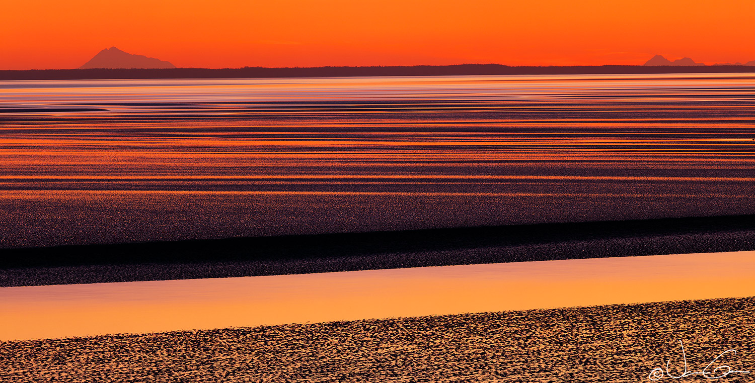 Turnagain Designs
