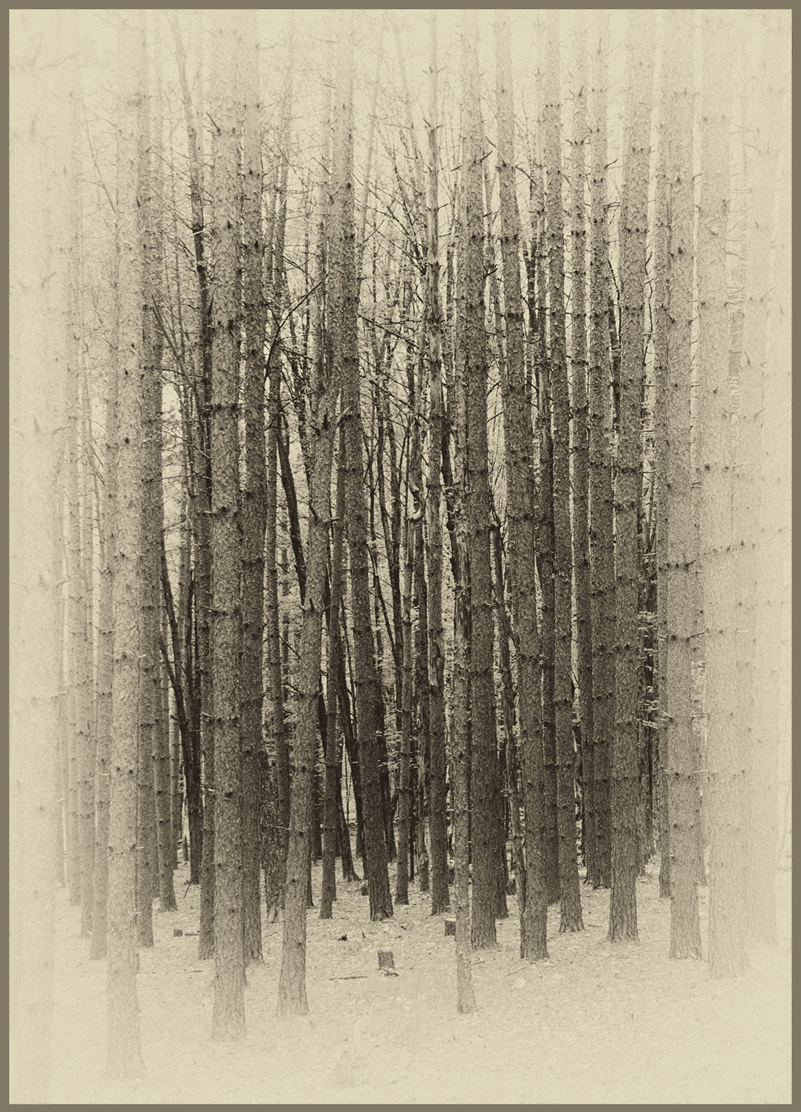 WC#737 - parallel lines