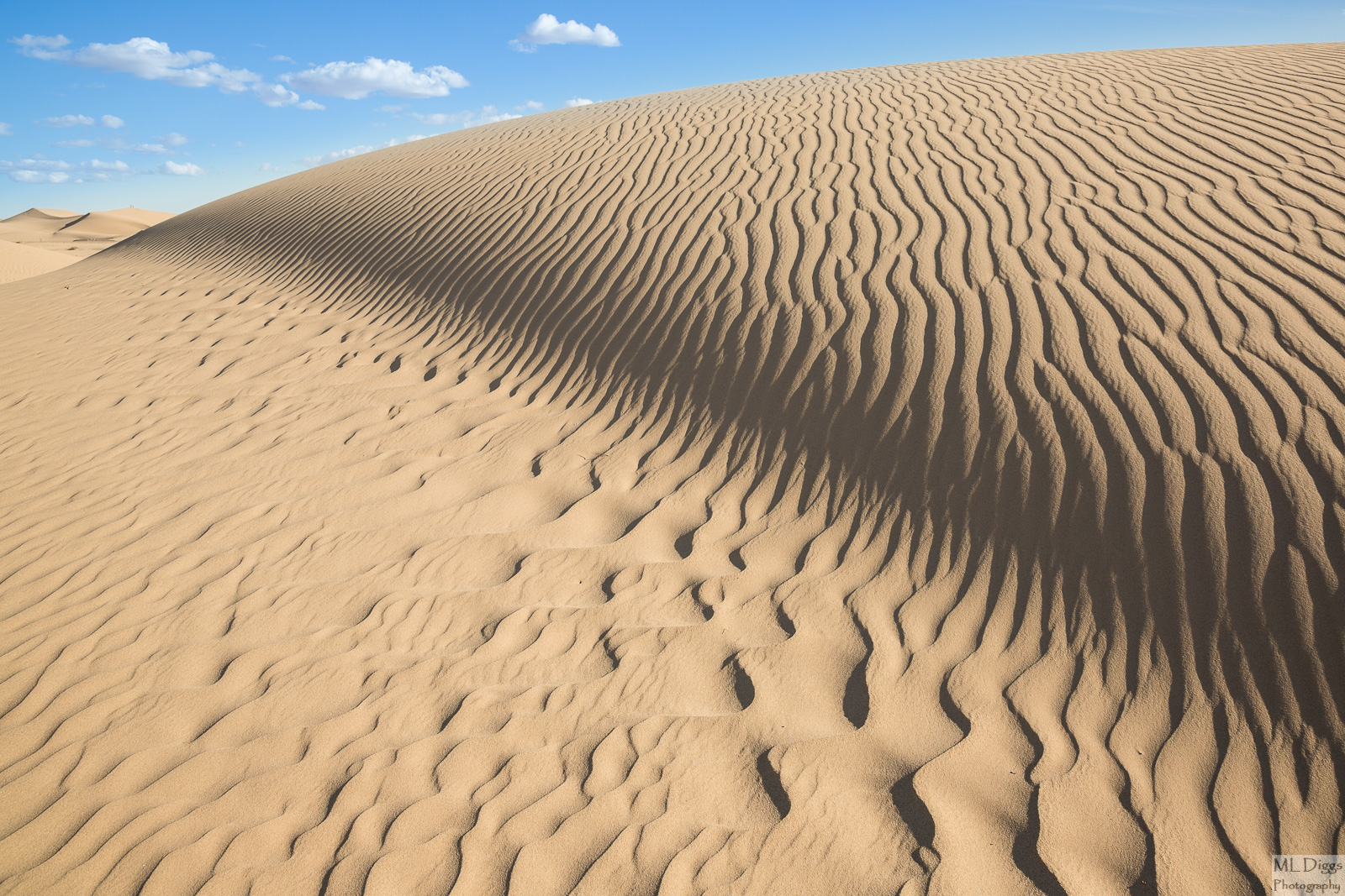 BW Repost of Algodones Dunescape #5