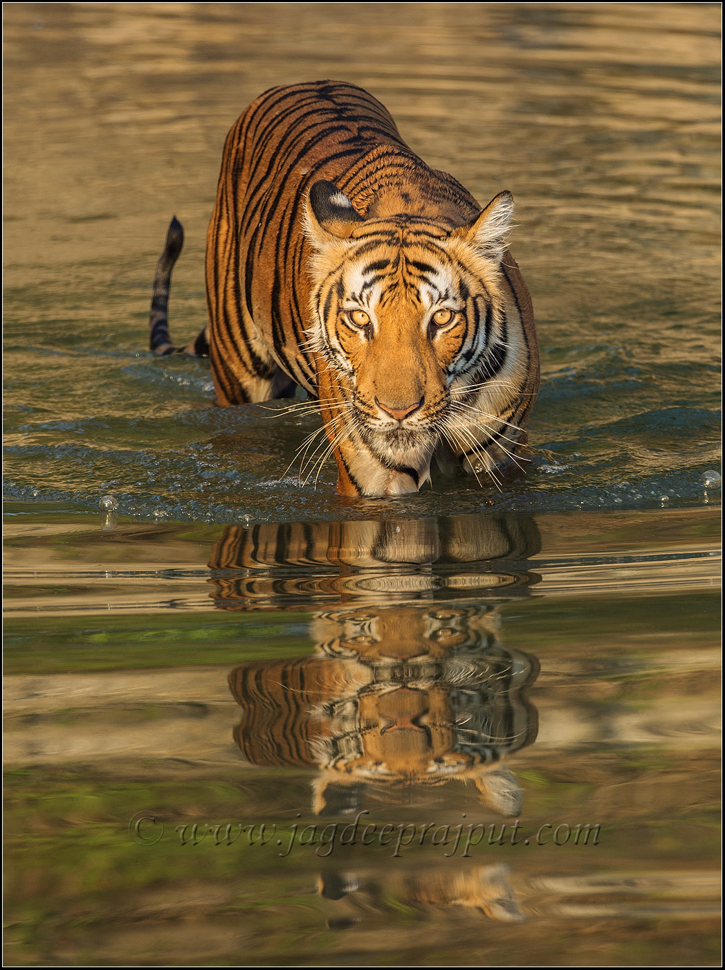 In the golden river 2