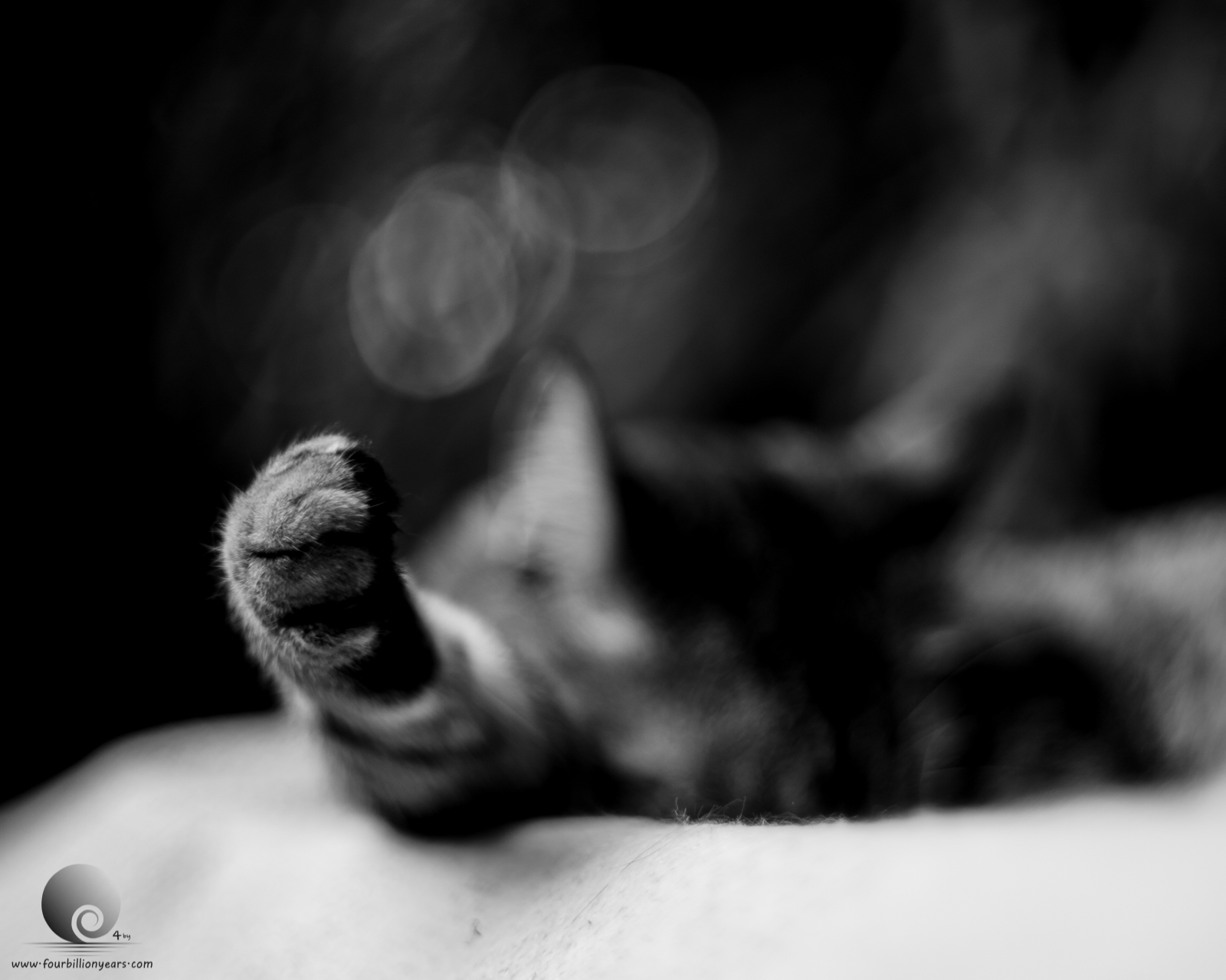 Dreamtime
