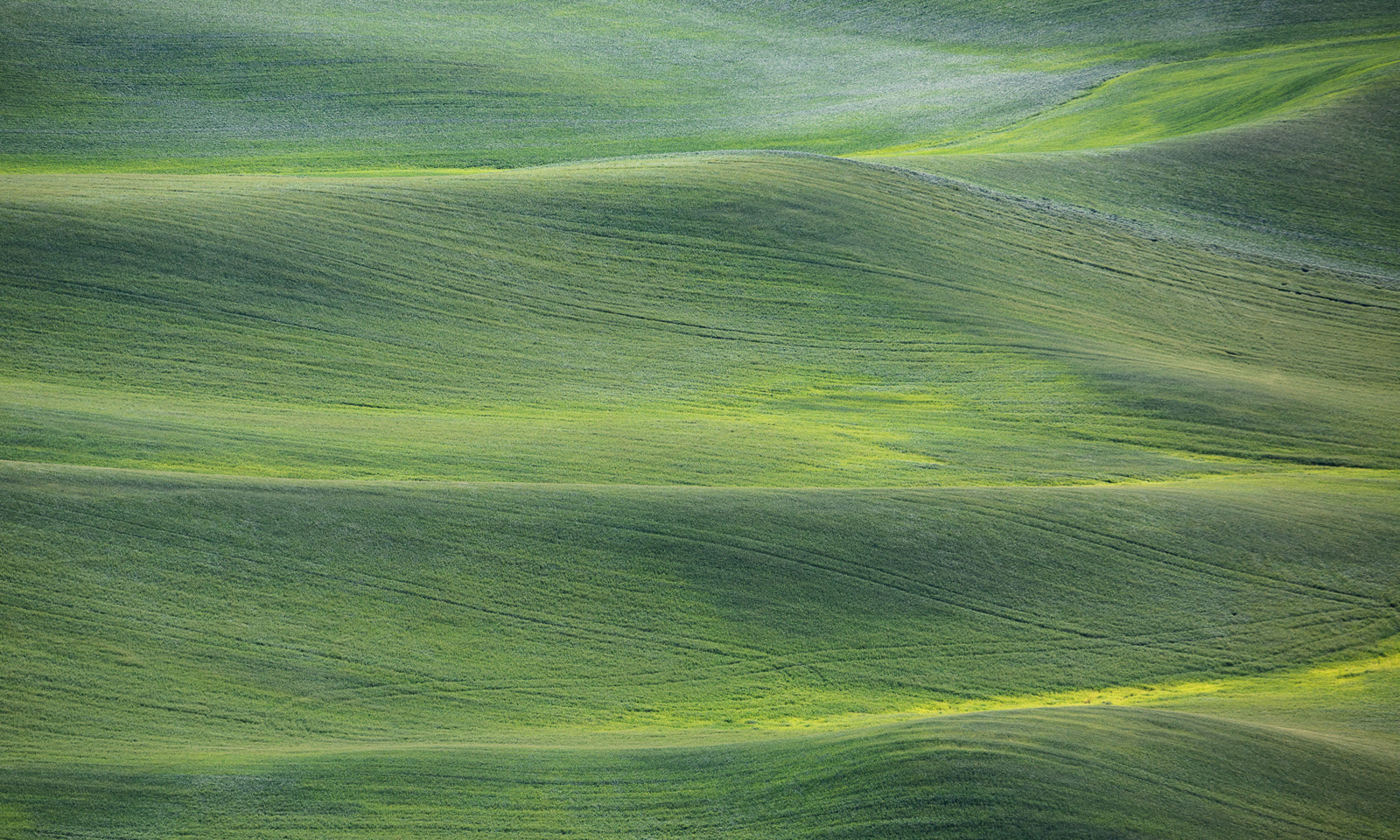 2nd Repo Palouse #3