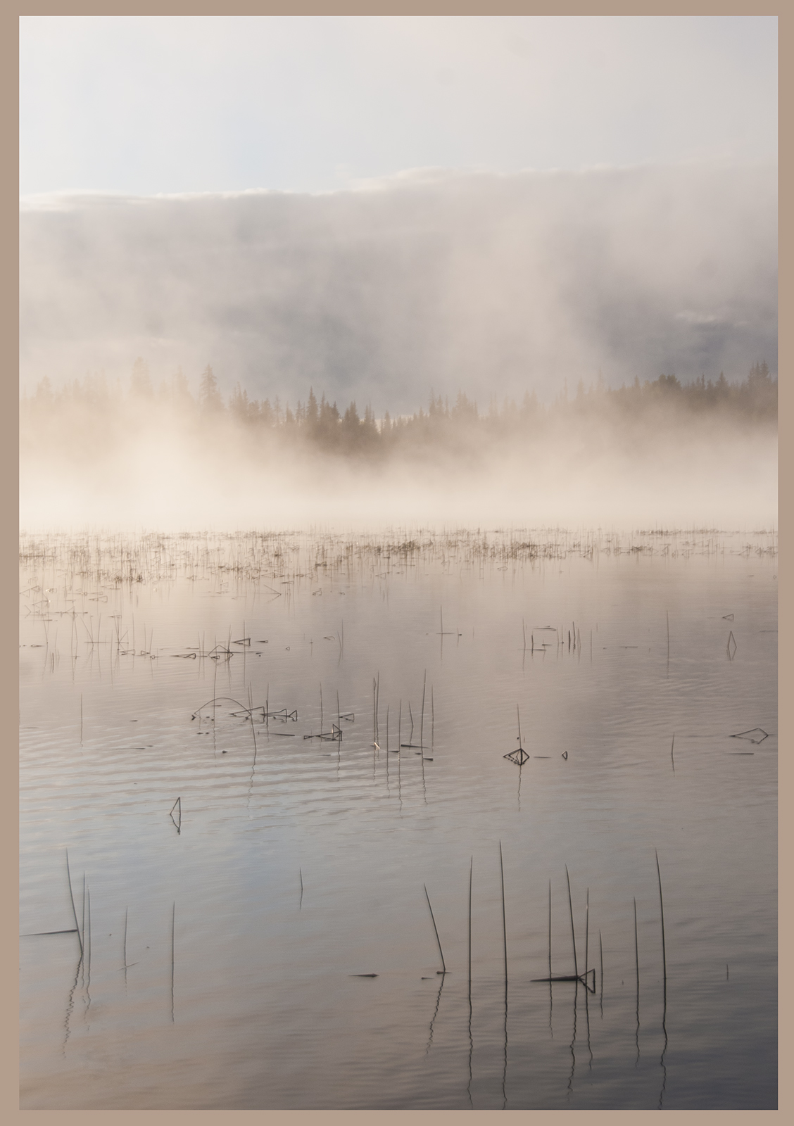 WC#741 - Foggy Days