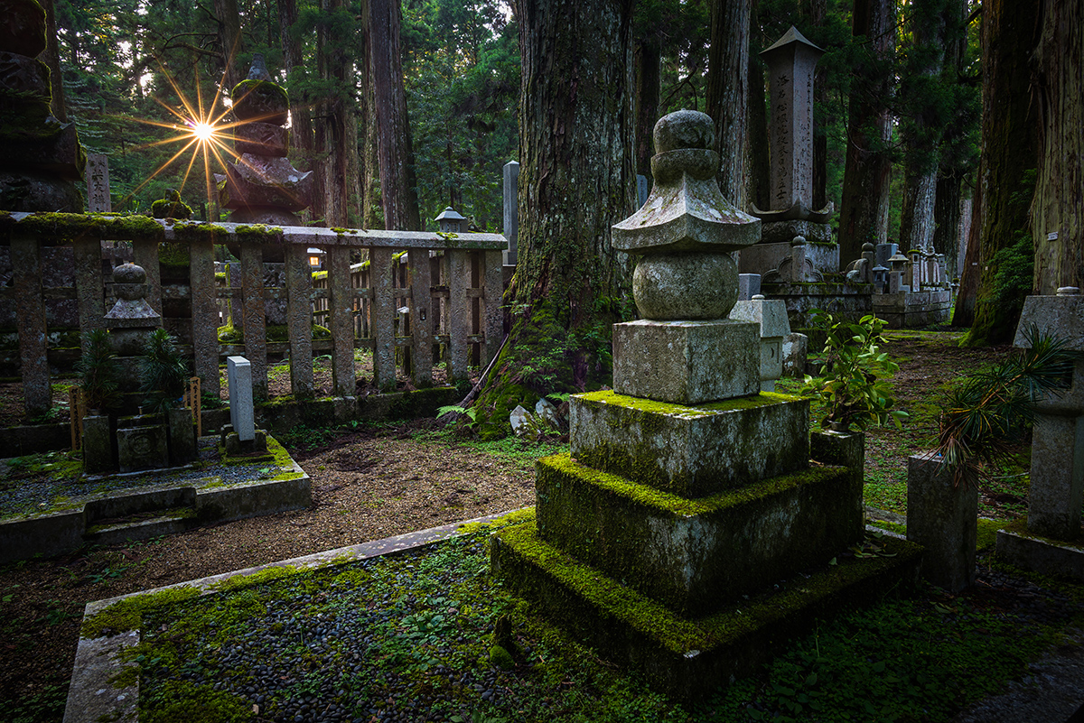 Fading Rays