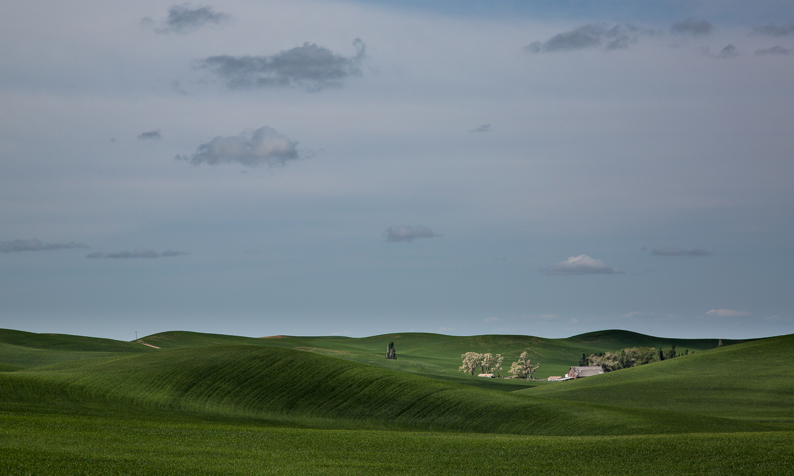 Repo of Palouse #4