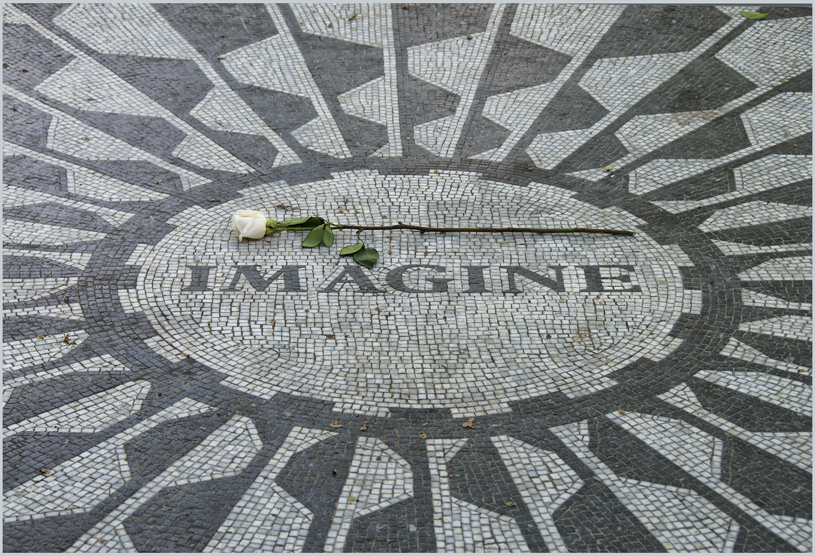 "Imagine'