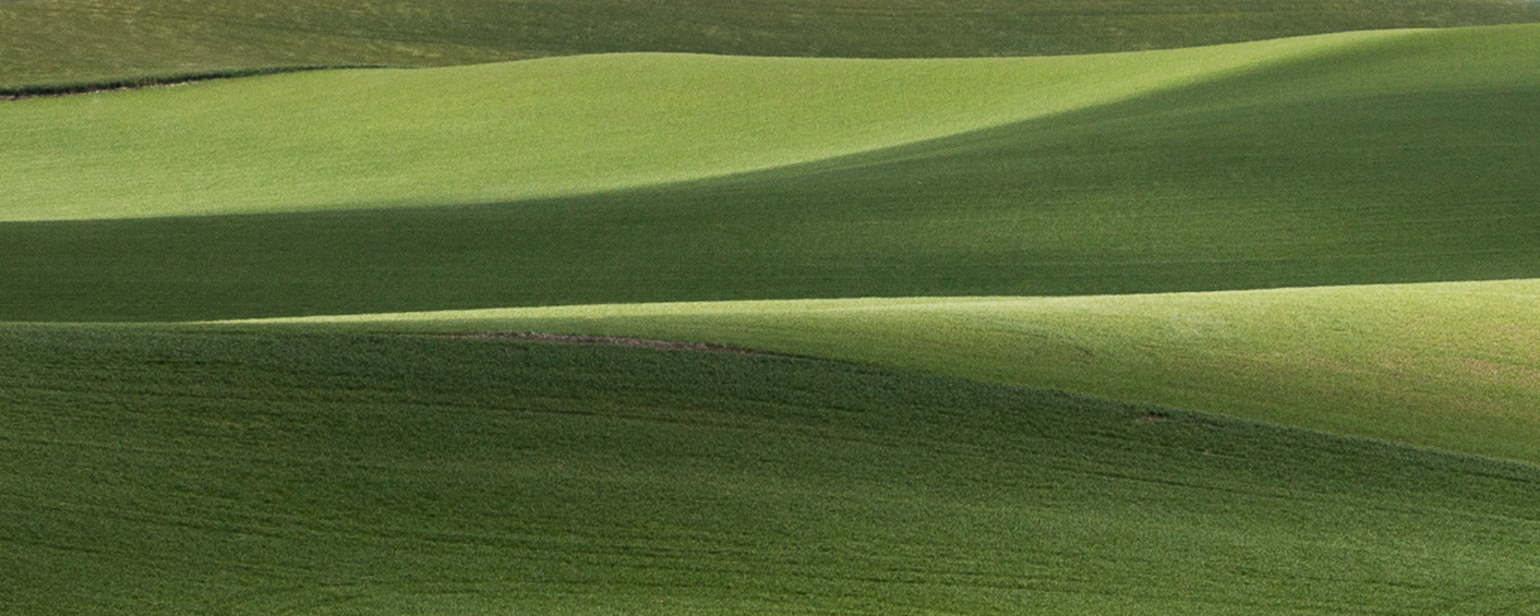 Repos and Wider Views Palouse #7