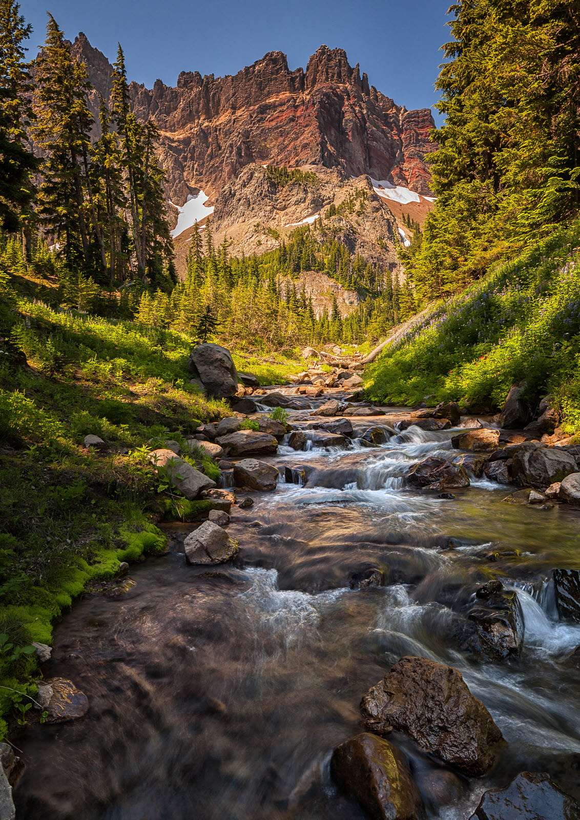 Three Fingered Jack