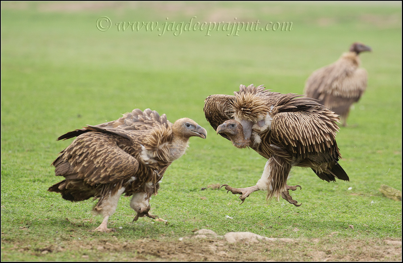 Clash of the Titans II