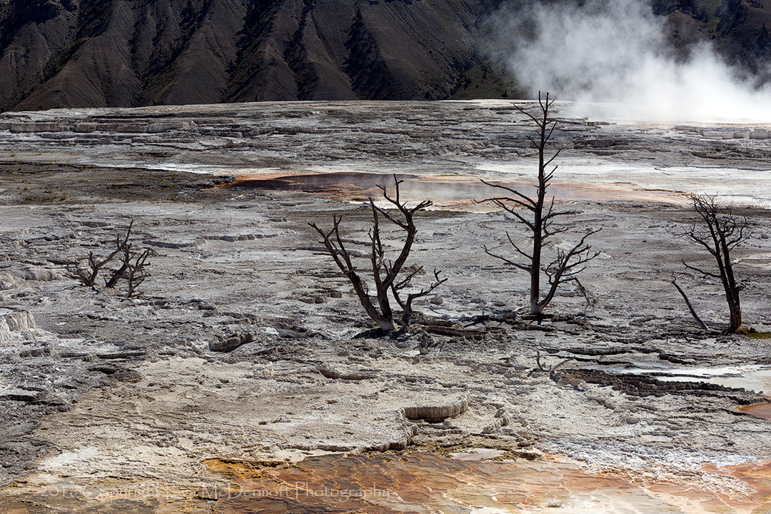 Ghosts of Mammoth Spring