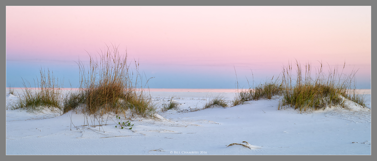 Luscious Sunset