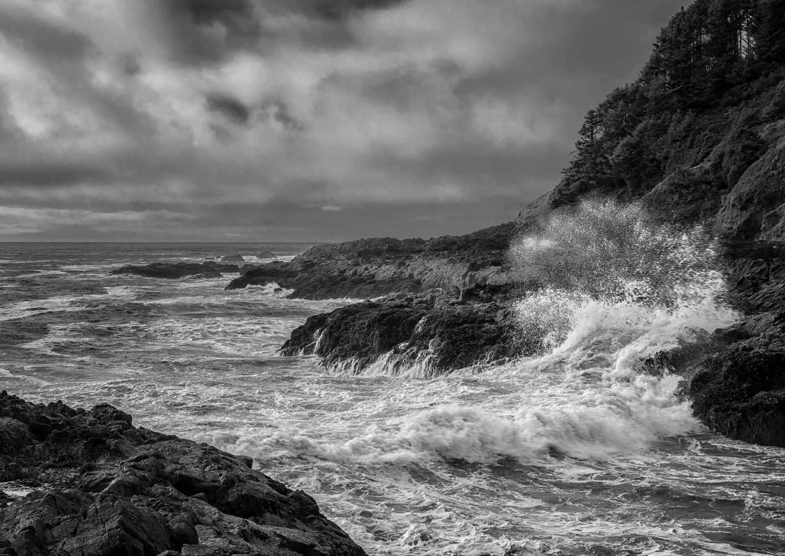 Cape Perpetua
