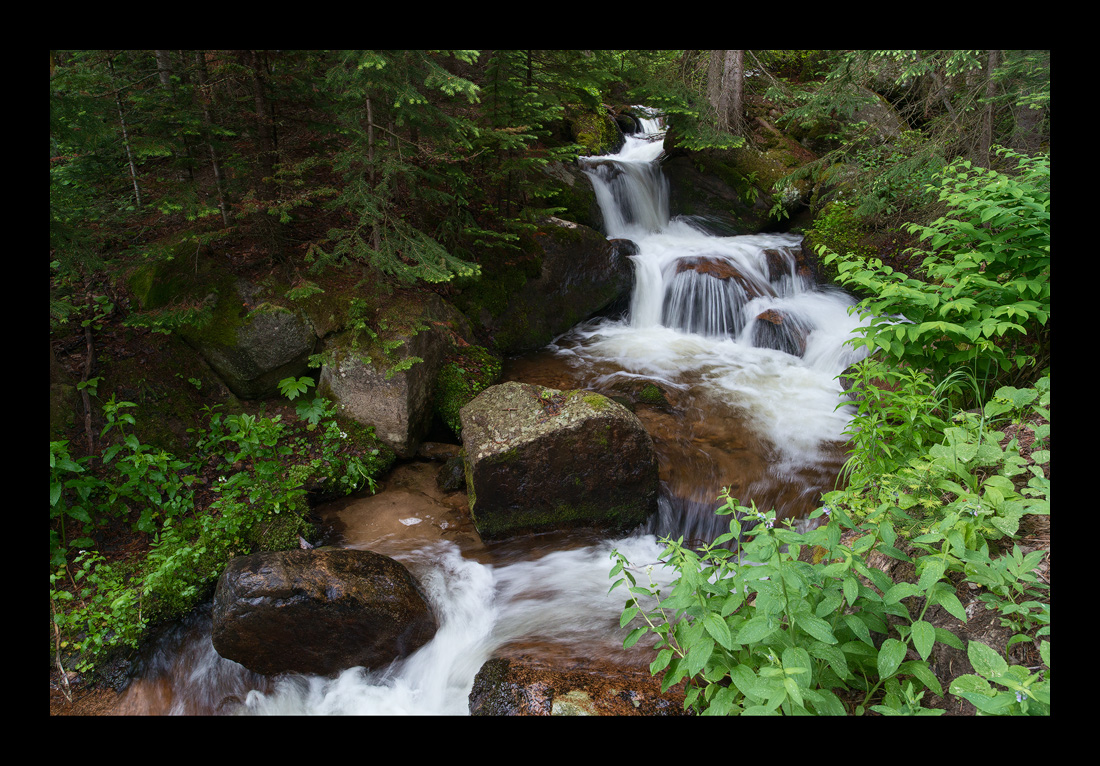 Brook Cascades