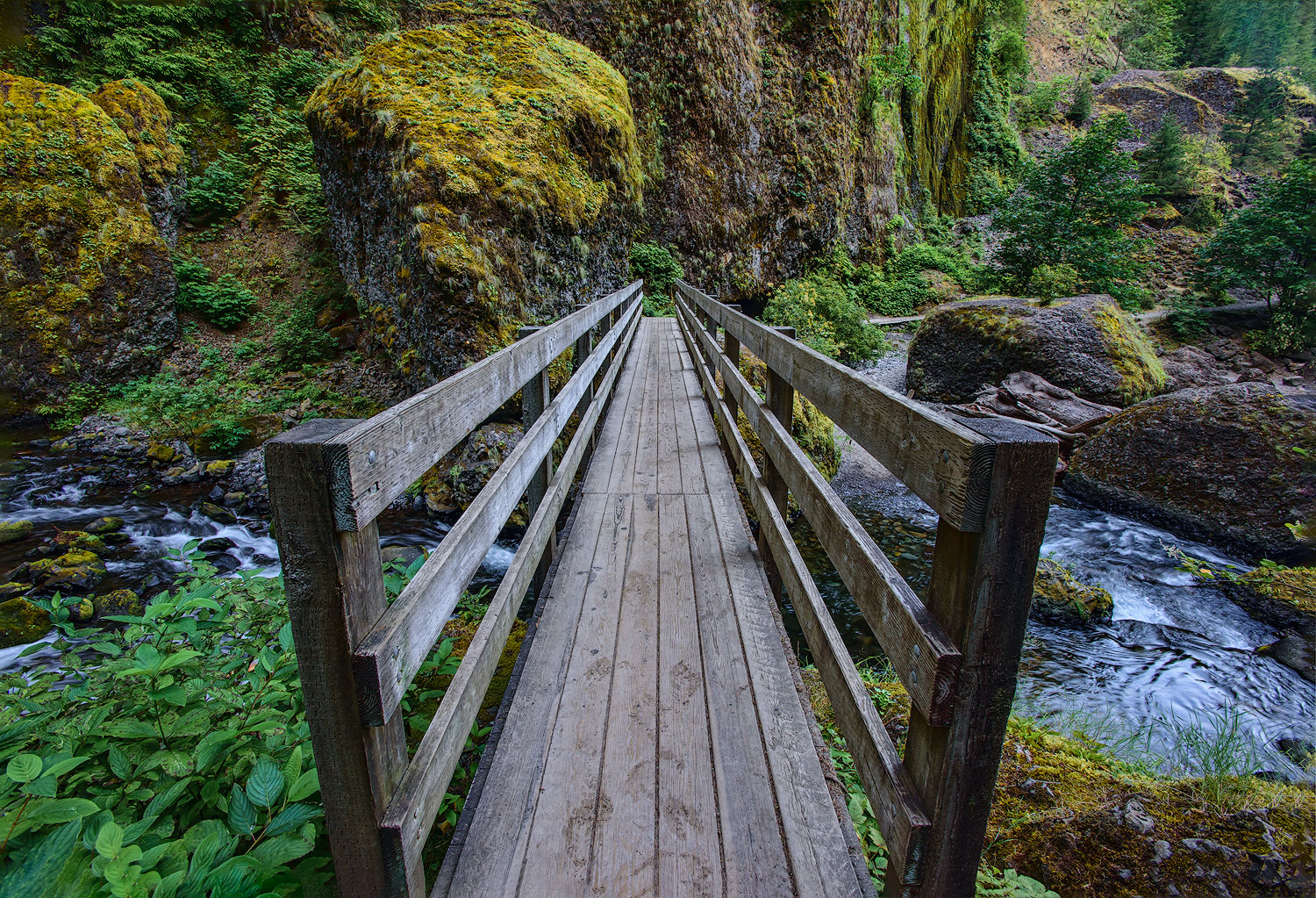 Tanner Creek