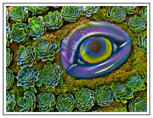 Big Eye