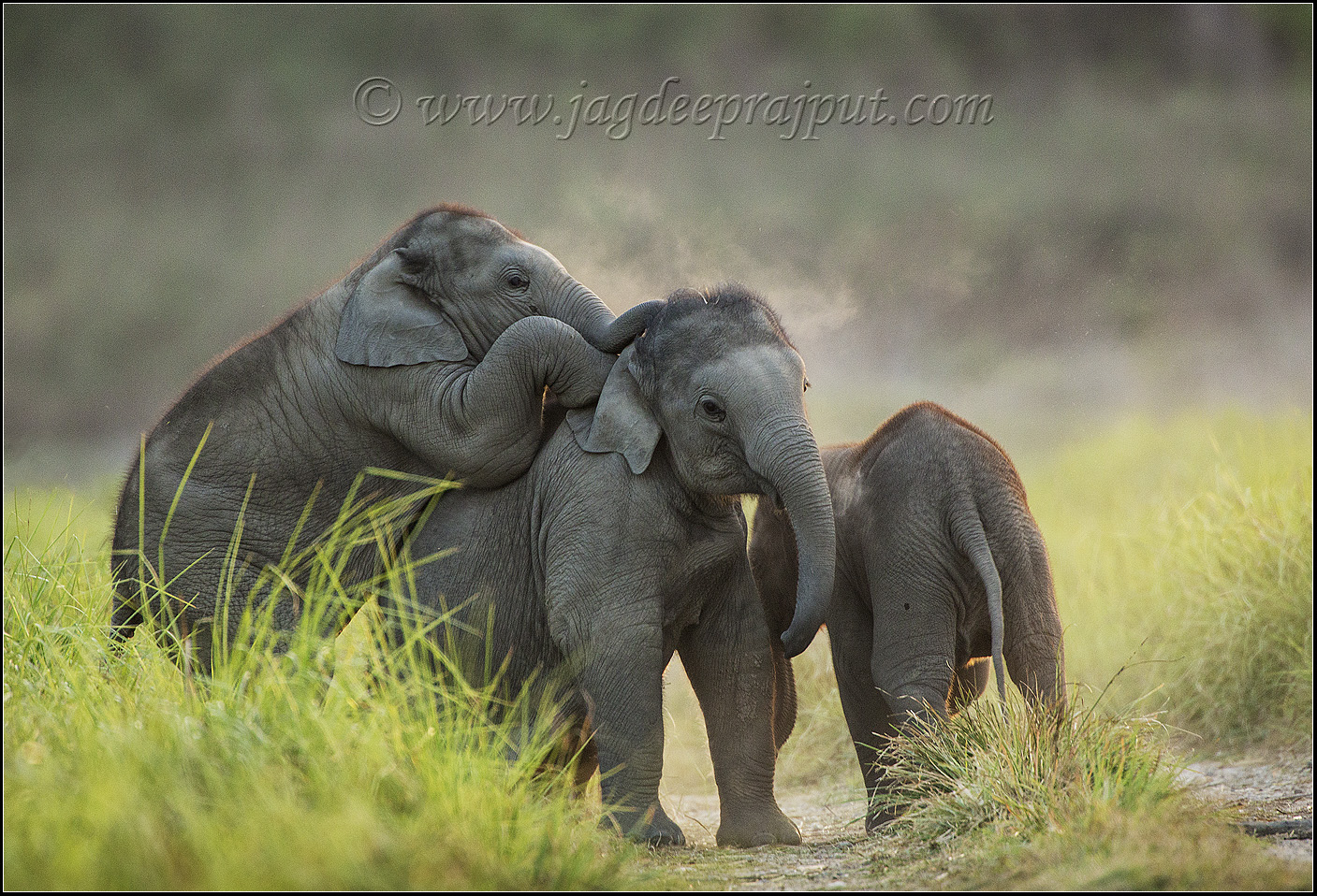 Happy Friendship Day!