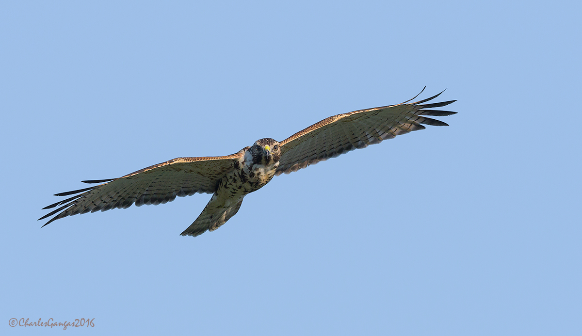 Fly-by