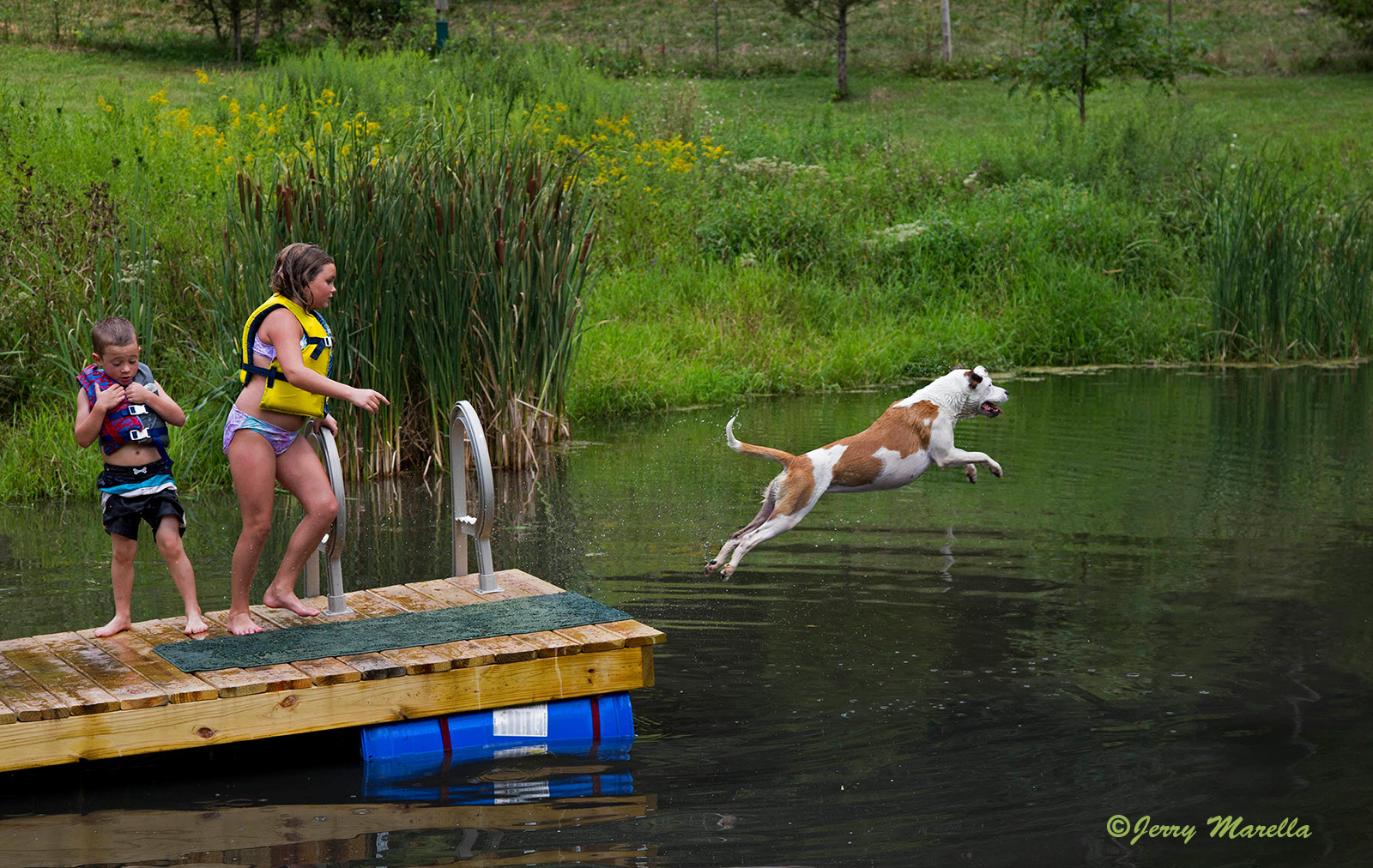 Summer Fun