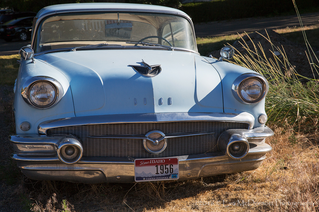 1956 Buick Special
