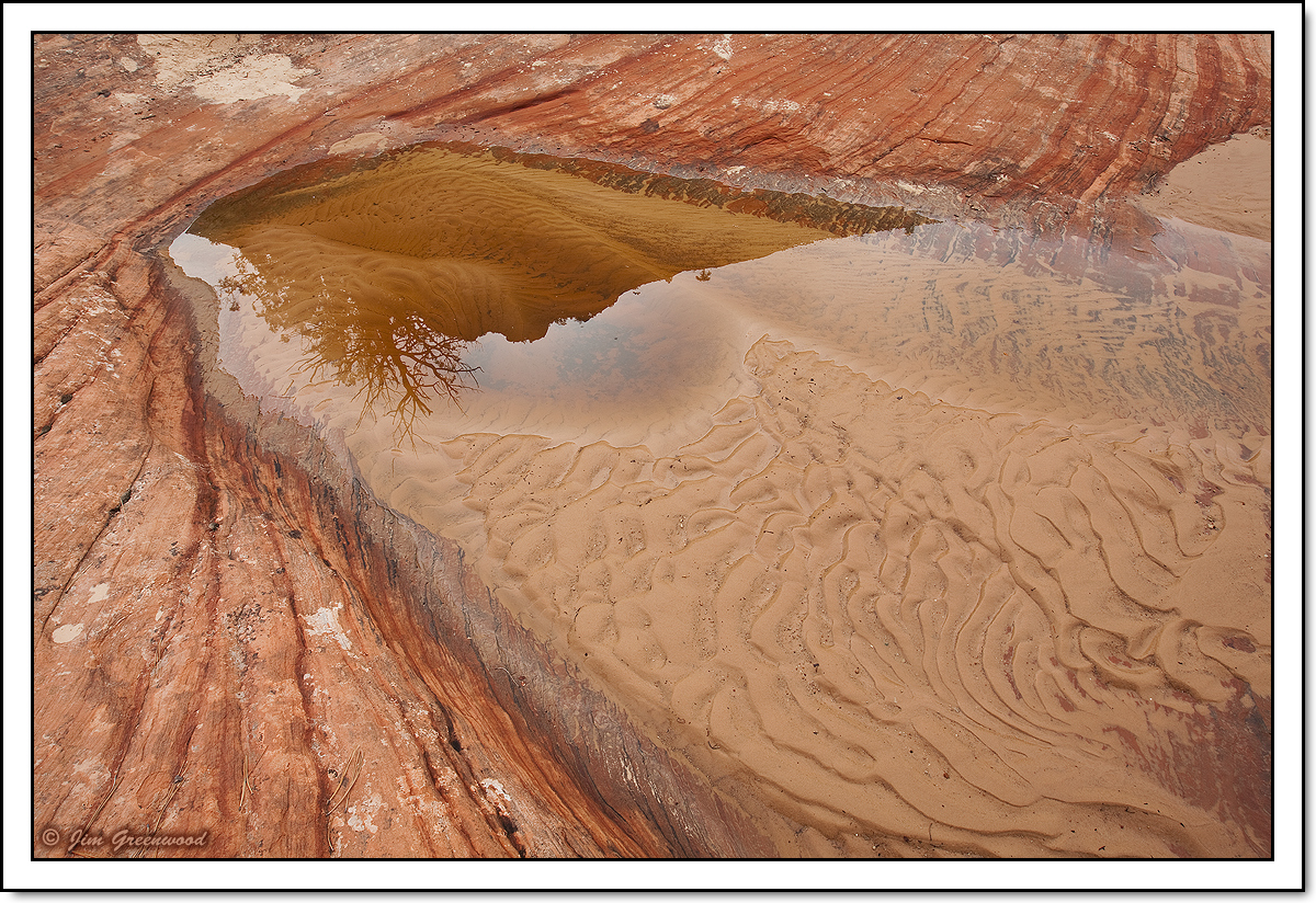 The Ripple Reflect