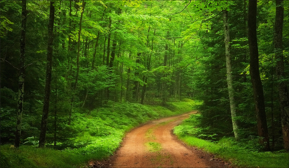Road to Tranquility 