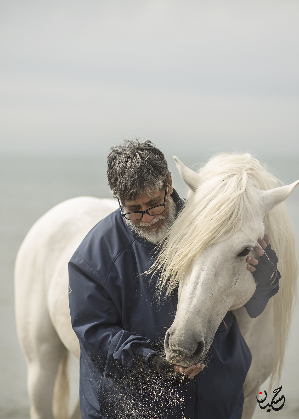 @ Hussain -horse and myself