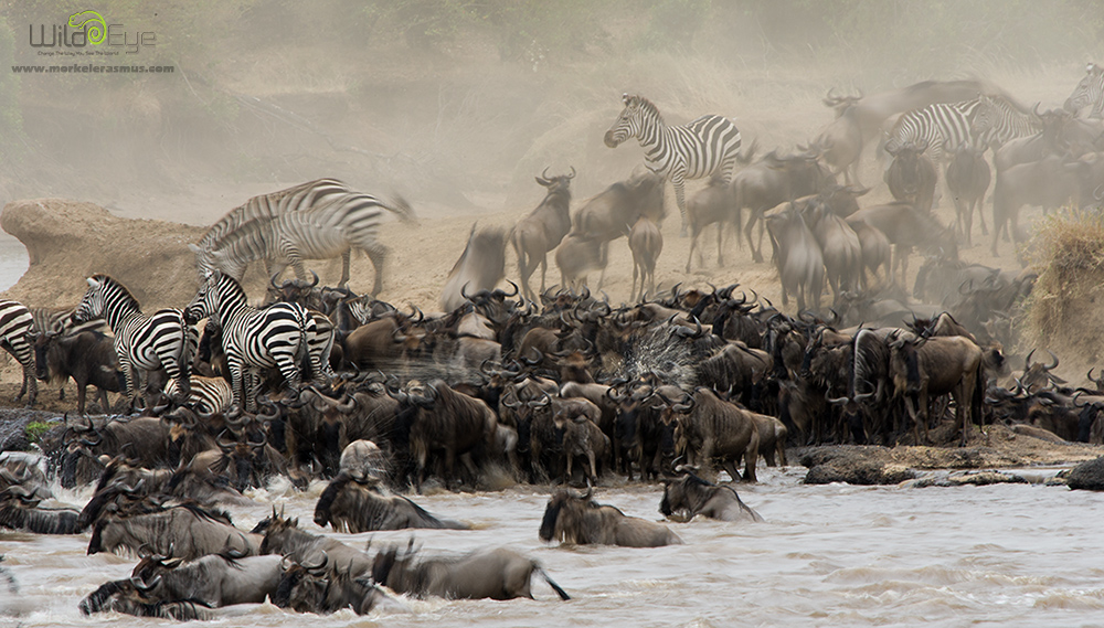Chaotic Crossing