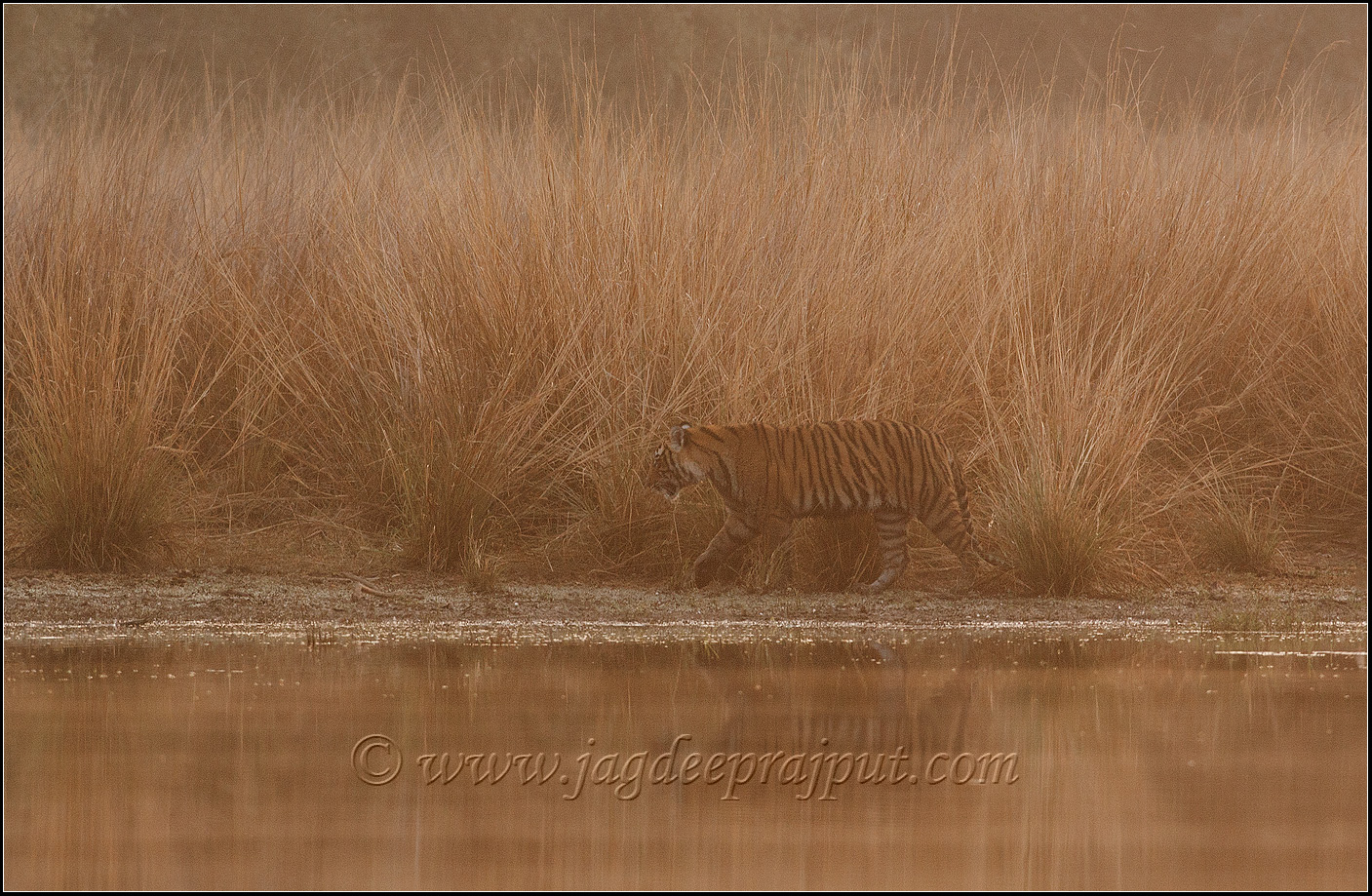 On a misty morning