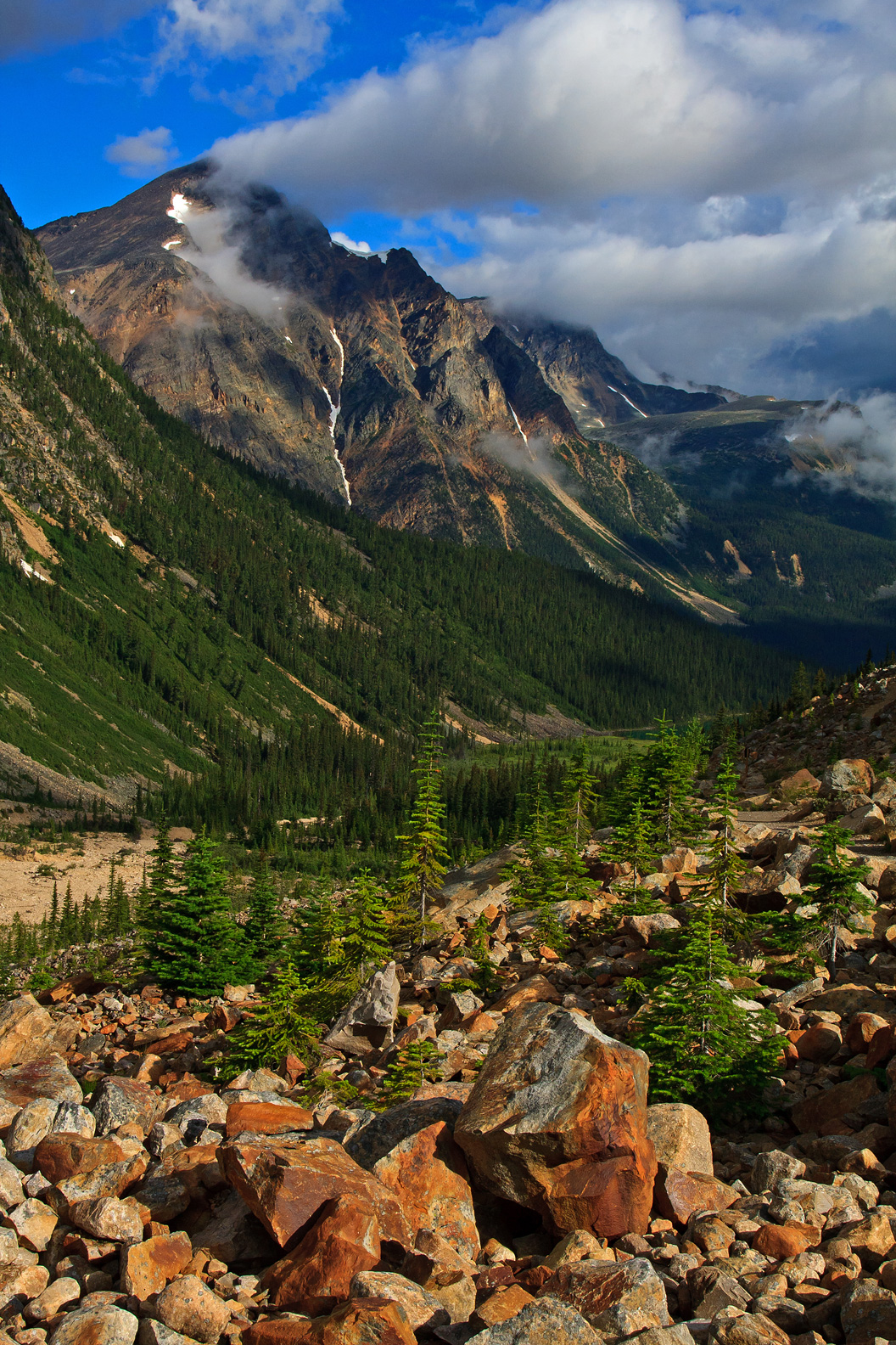 View from Edith Cavell