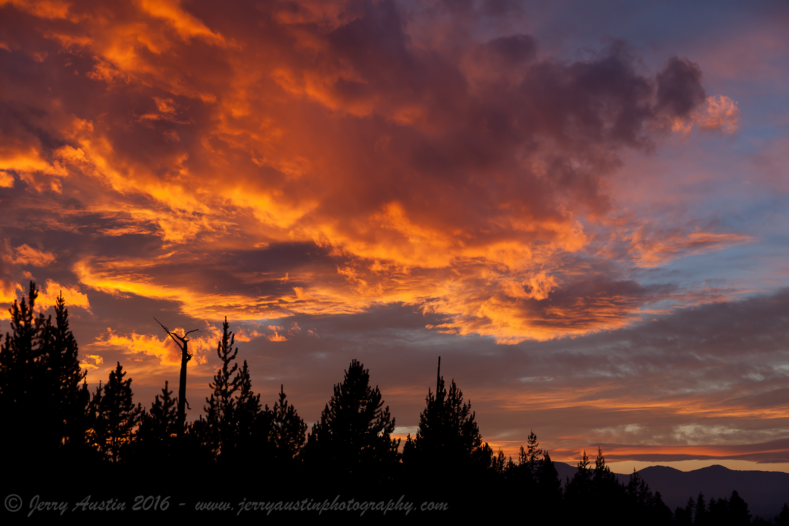 Yellowstone Sunset
