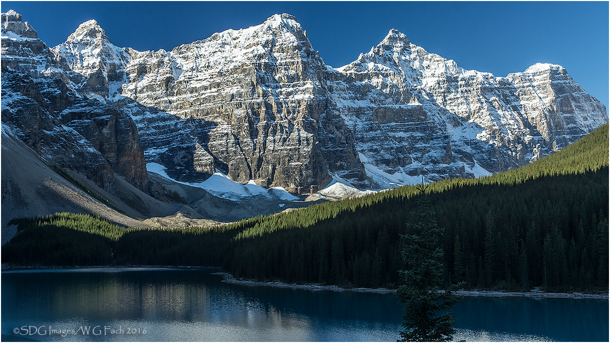 Moraine Morning