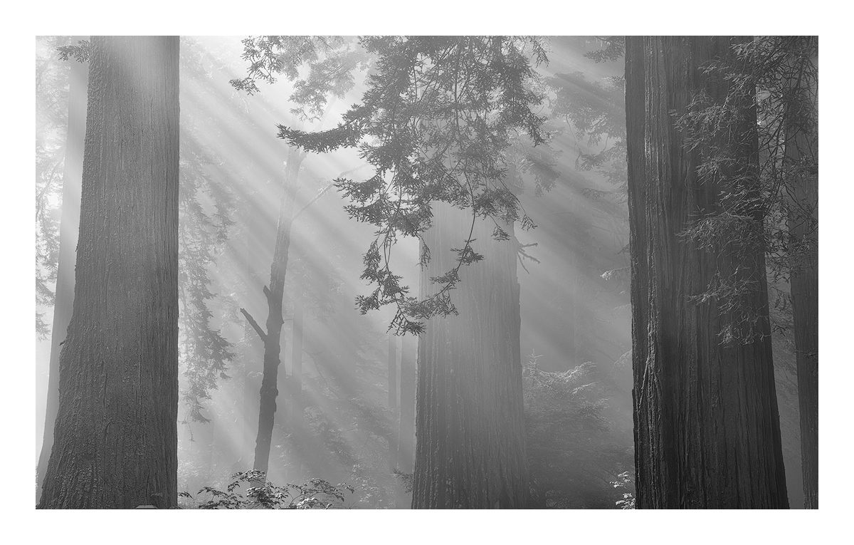 Landscape - 2nd HM