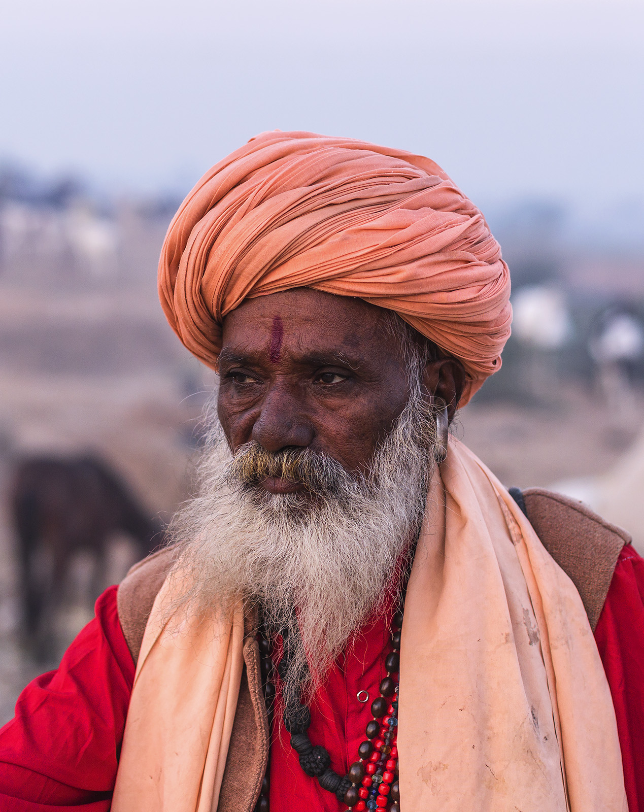 a Sadhu at Pushkar