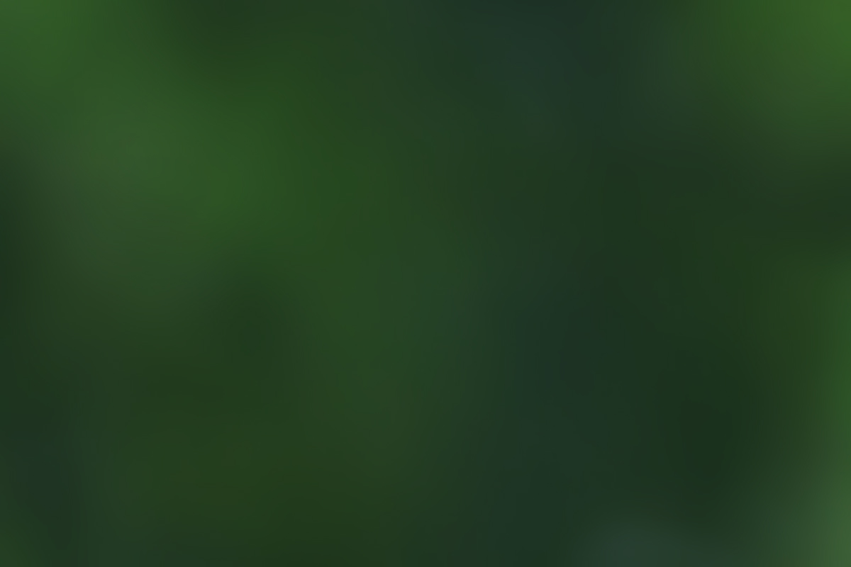 Green Background