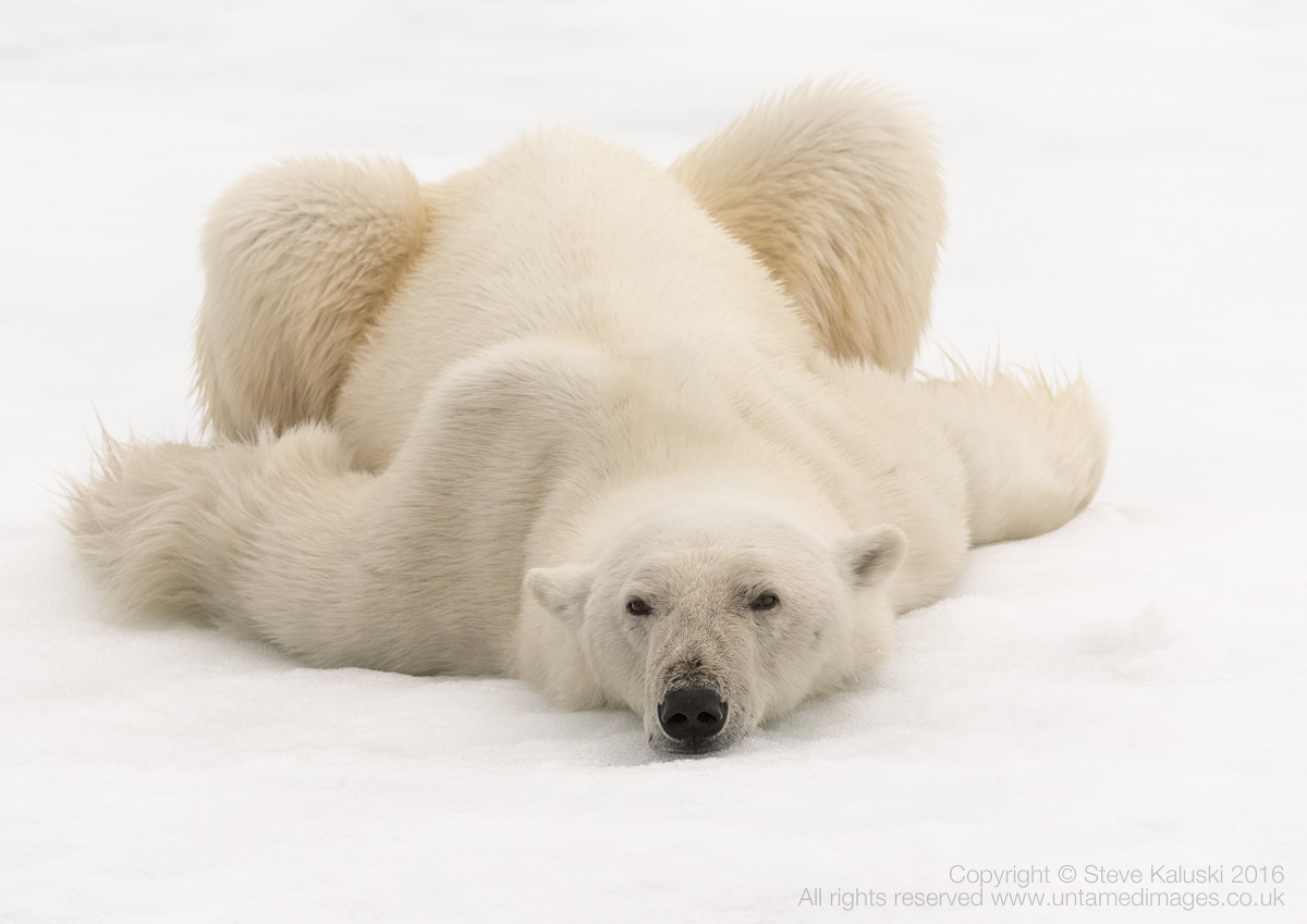 Just chilling...
