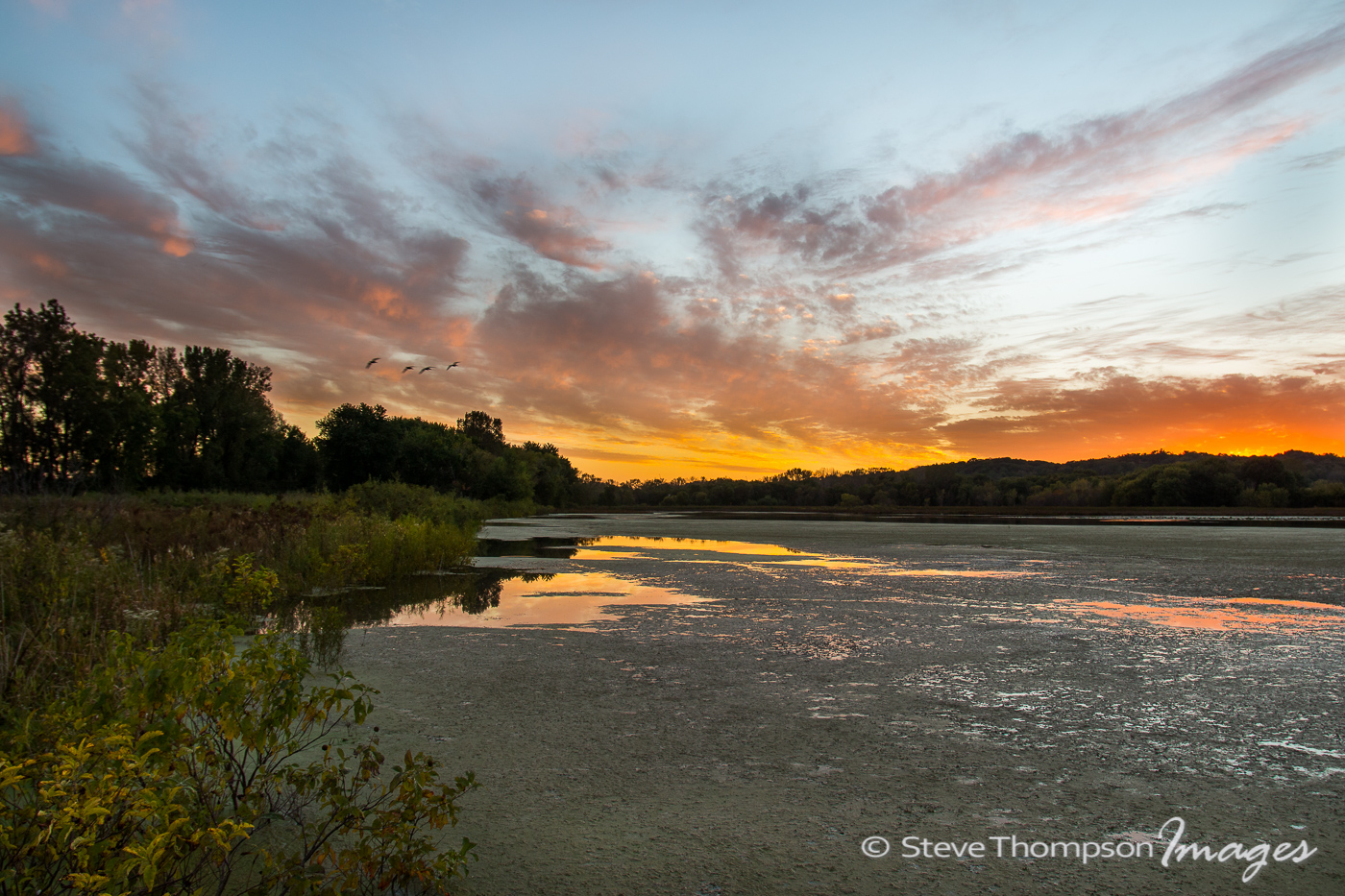 Nahant Marsh
