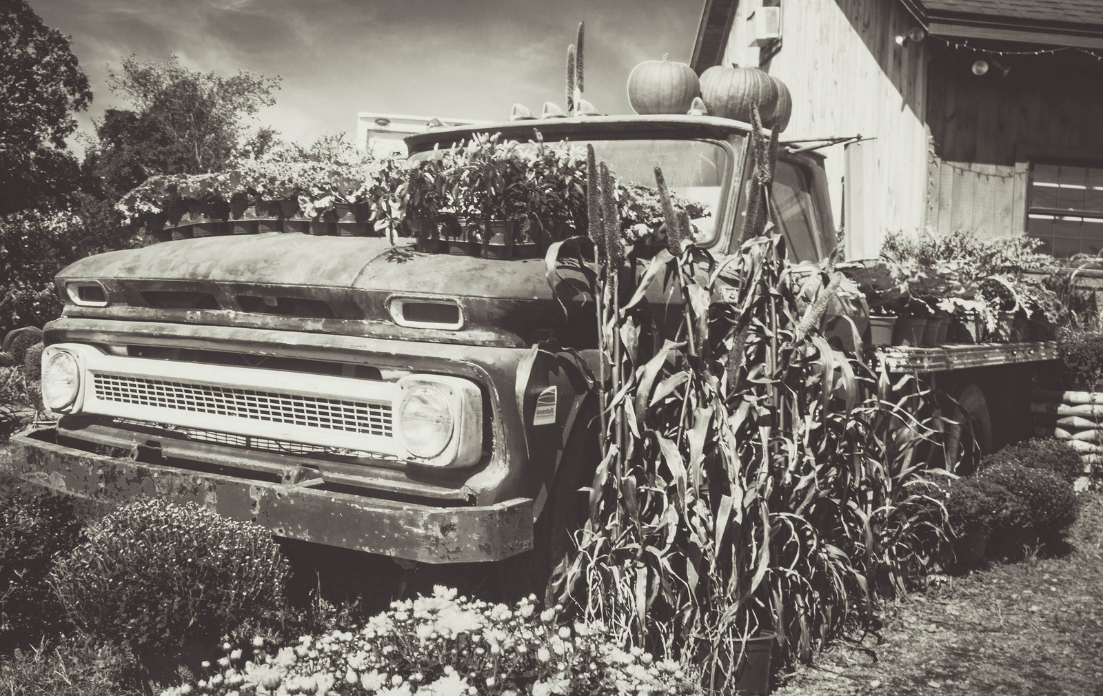 NPWC#757 - Colby Farmstand