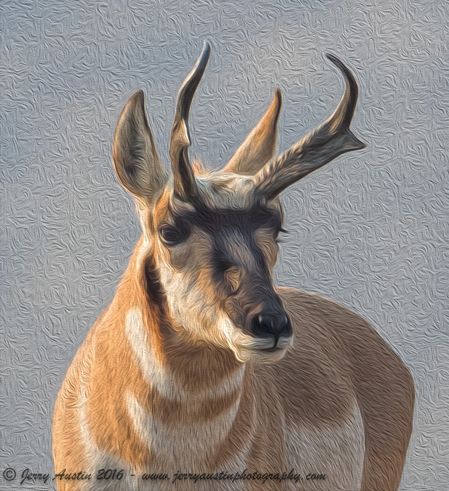 Oil Painting Pronghorn