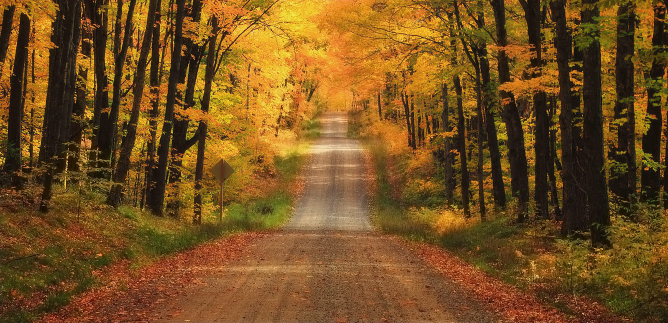 Road Less Traveled