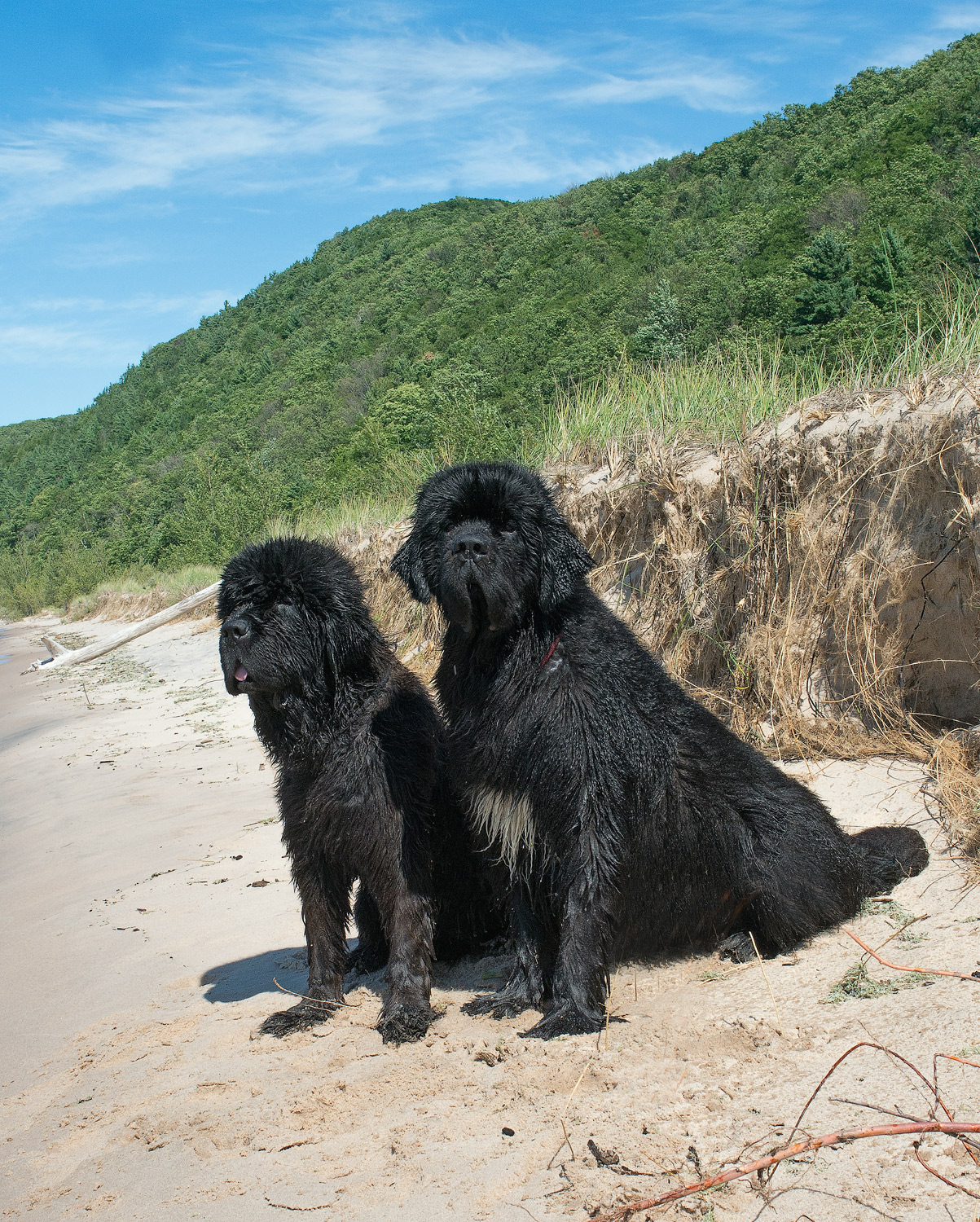 Robbie & Morgan 