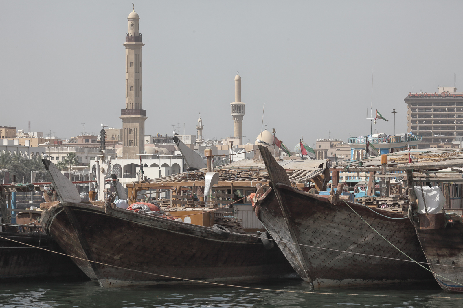 Callus Dhow Boys
