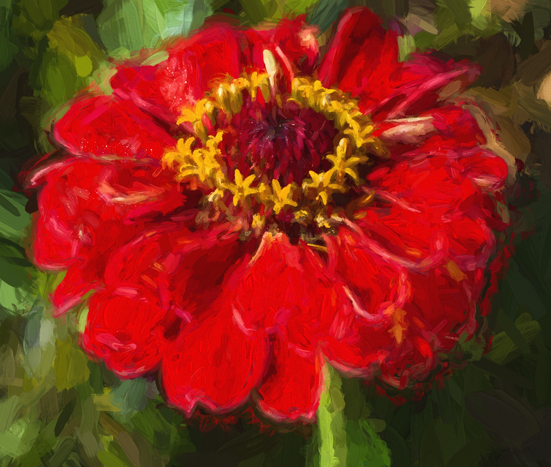 Zinnia + redo x 2