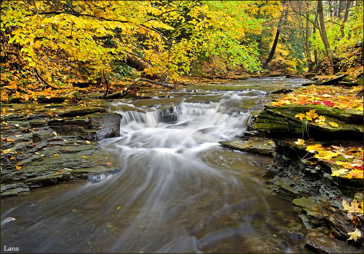 Fall Where I Live (WC)