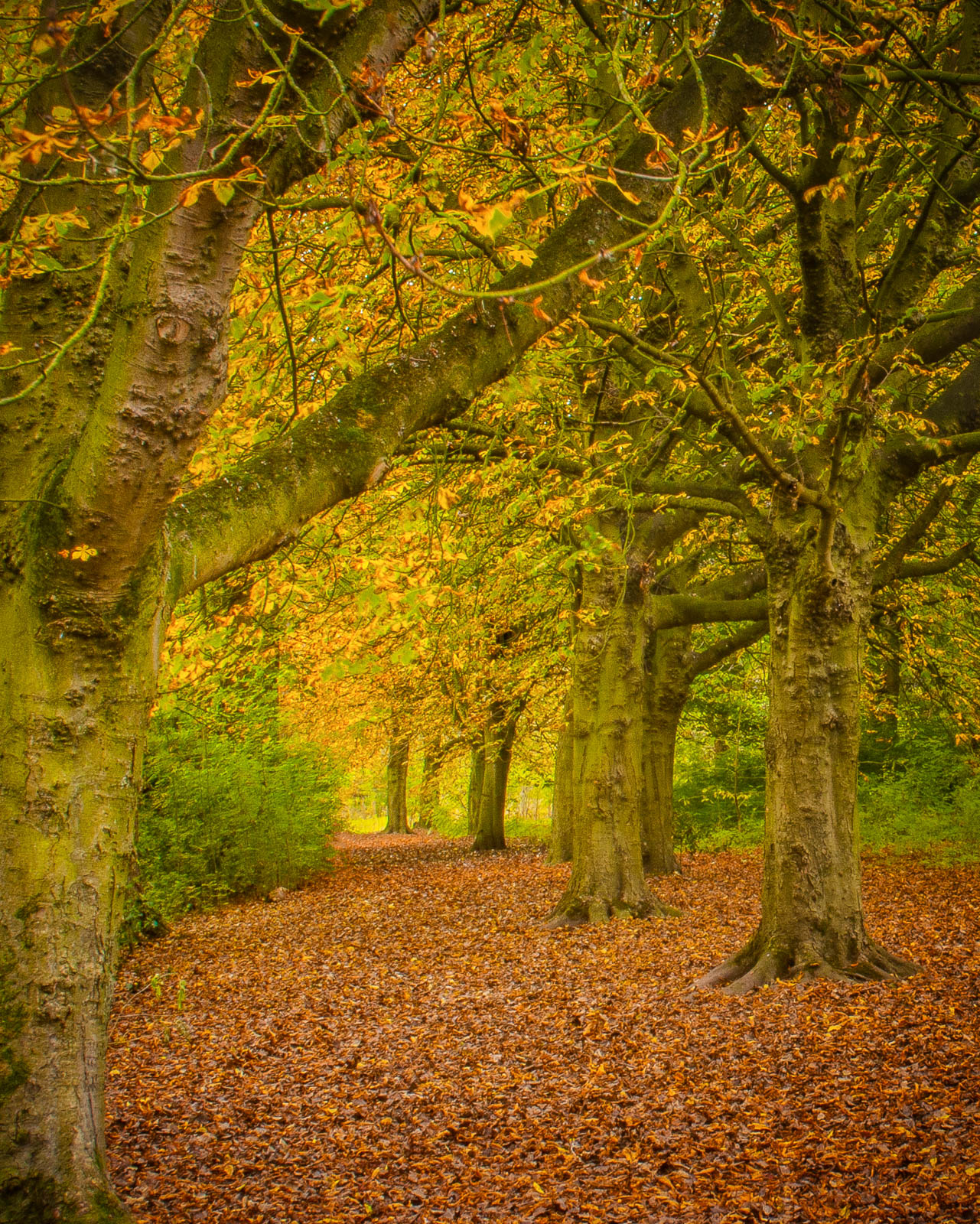 Pathway